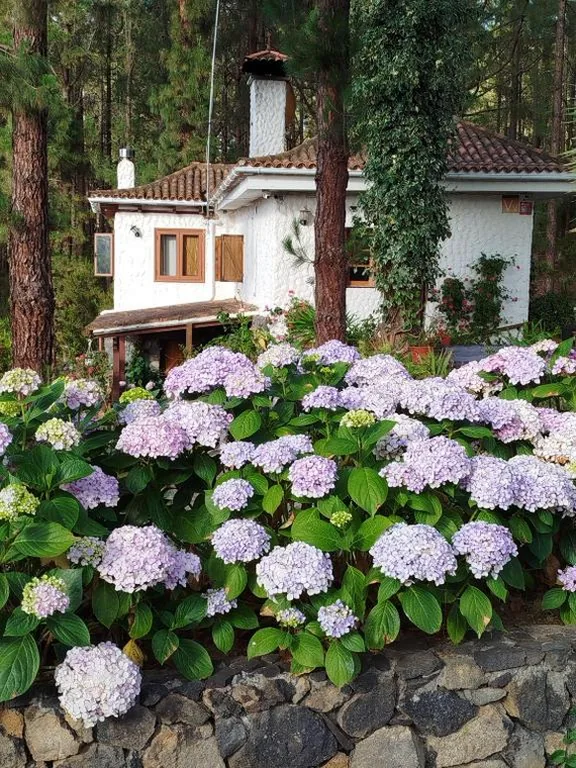 Casa com 2 quartos — Floral garden house