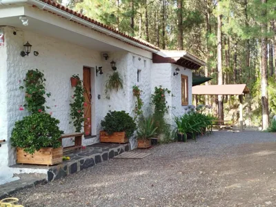 Floral garden house — foto 9