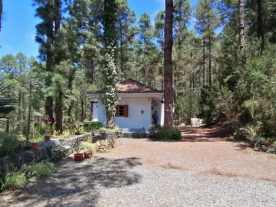 Floral garden house — foto 10