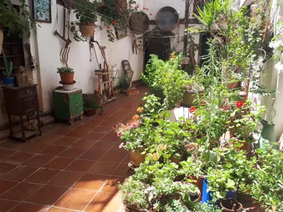 Fonda Del Tozal — foto 6