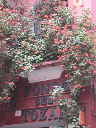 Fonda Del Tozal — foto 8