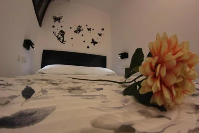 FP HOTELs — foto 12