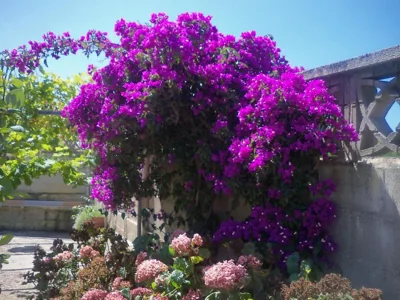 Fuente el Hayedo — foto 4