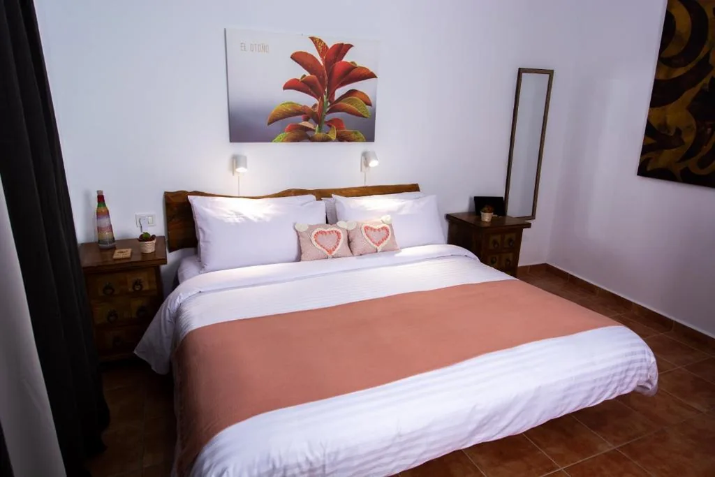Habitación Doble - 2 camas — Geko Hotels