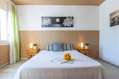 Goldhome - Montseny 11 - Private heated pool — foto 8
