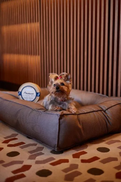 Grand Hotel Central, Small Luxury Hotels — foto 2
