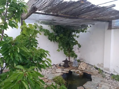 Granja Colibrí,con piscina — foto 9