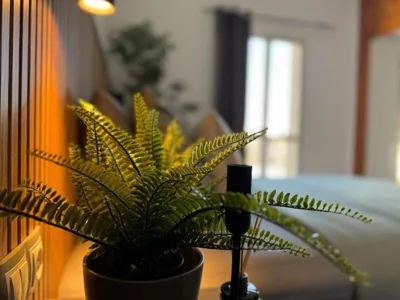 Green Oasis Paradise — foto 12