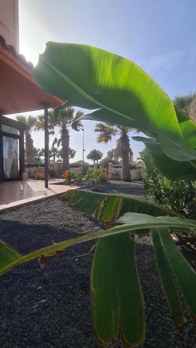 Green Ocean House - Origo Mare — Foto 12