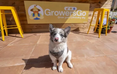 Growers Boutique Huelva — foto 4