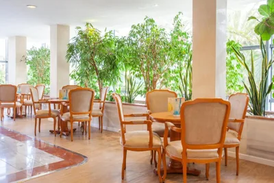 Grupotel Taurus Park — foto 5