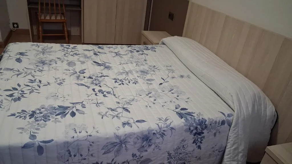 Camera Singola con bagno privato — Habitaciones Javier LVI 0006