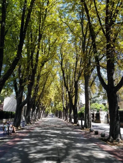 HABITAKA, Hogares de paso — 写真 11