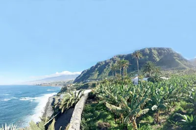 Hacienda El Cardon — foto 11