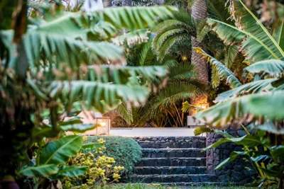 Hacienda El Cardon — foto 12