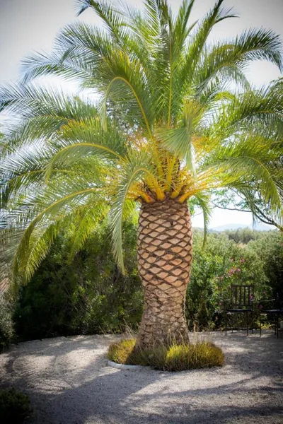 Hacienda el Tarajal - Boutique B&B — foto 12