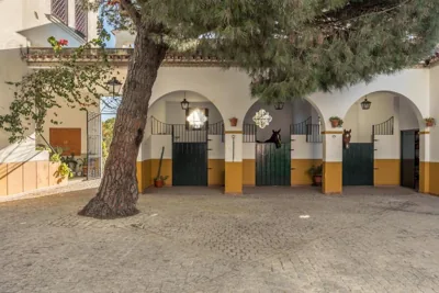 Hacienda las tres niñas — foto 10