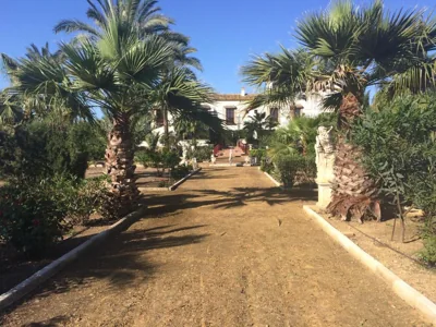 Hacienda Los Jinetes — foto 6