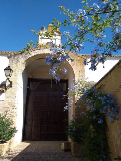 Hacienda Los Jinetes — foto 9