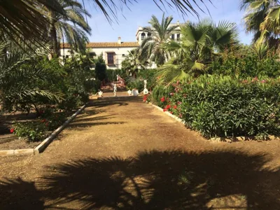 Hacienda Los Jinetes — foto 11