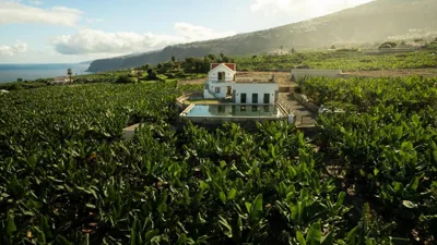 Hacienda Los Orovales — foto 8