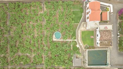 Hacienda Los Orovales — foto 10