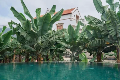 Hacienda Los Orovales — foto 11