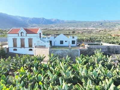 Hacienda Los Orovales — foto 12
