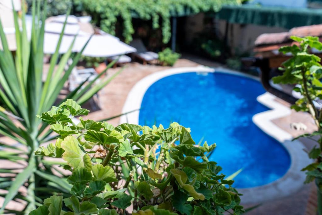 Hanami House Boutique 4 Estrellas Valle del Jerte