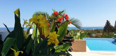 Happyplace Malaga - Villa with Panoramic Sea View Heated Infinity Saltwater Pool — foto 4