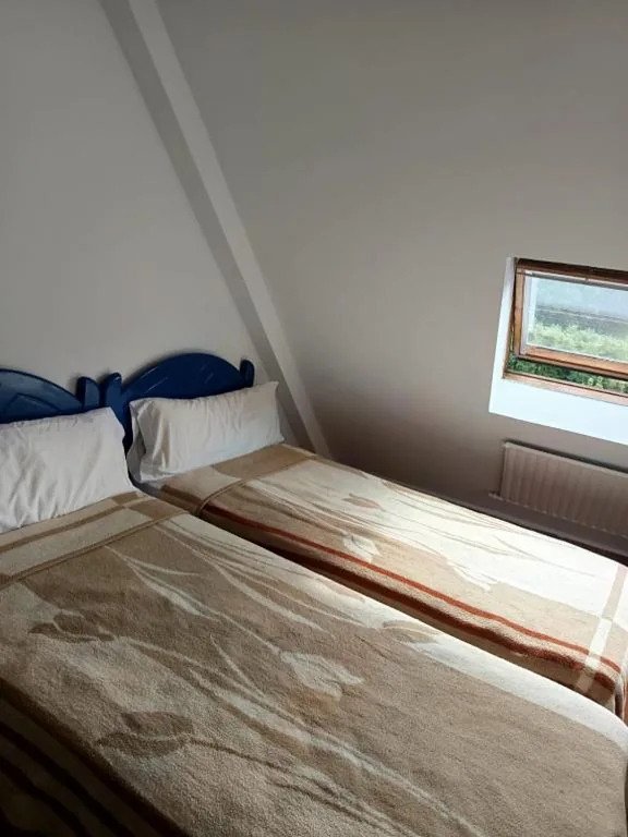 Chambre familiale — Hello Astur Green