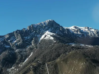 Hello Astur Green — photo 10