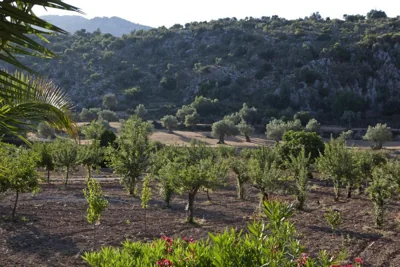 Hermitage Mallorca Hotel & Spa — foto 8