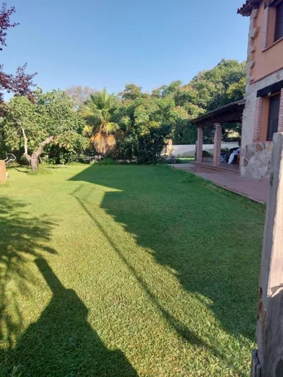 Higueras y Olivos — foto 10