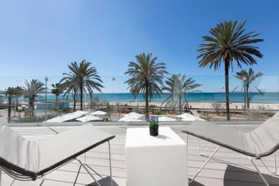 HM Tropical — Foto 8