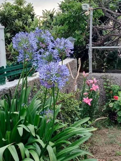 Holiday Home LaCerca — foto 11