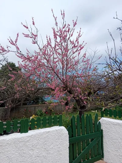 Holiday Home LaCerca — foto 12