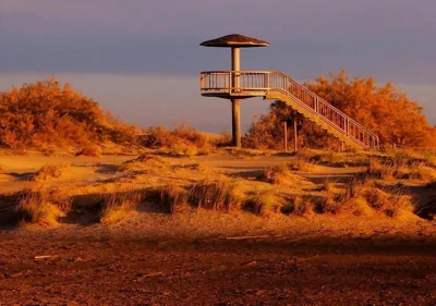 Holiday Home Paquita SB — foto 12