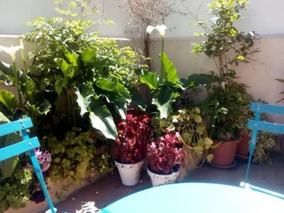 Holiday Home Ribera del Tajo — 写真 6