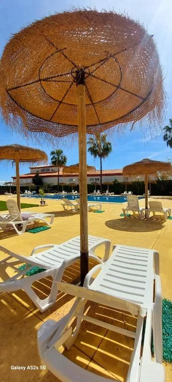 Home, tulipán Orihuela costa — Foto 7