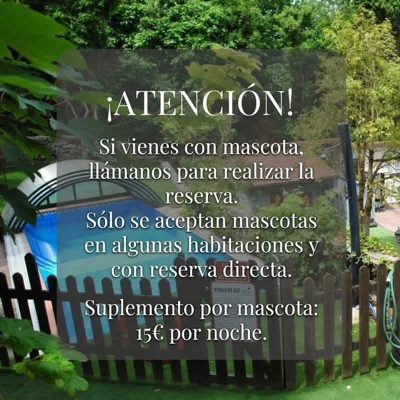 Hospedaje Javier — foto 10