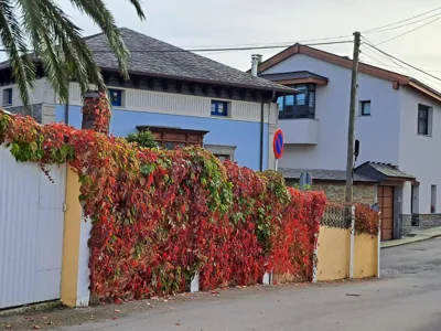 Hospederia El Gurugu — foto 11