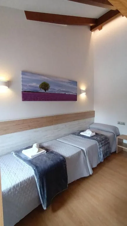Tweepersoonskamer met 1 of 2 Bedden — Hostal A Cantina de Renche