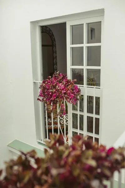 Hostal Africa — Foto 12