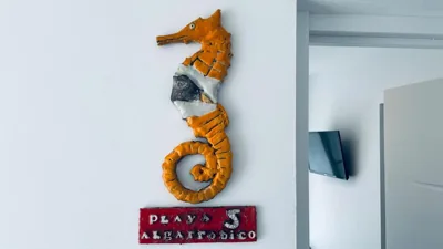 Hostal Aires del Mar — photo 11