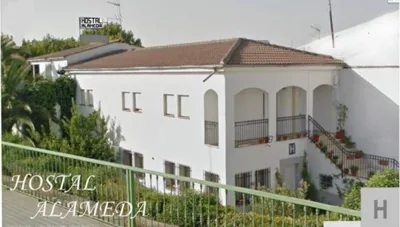 Hostal Alameda — photo 5