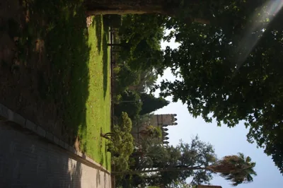Hostal Alcázar — foto 5