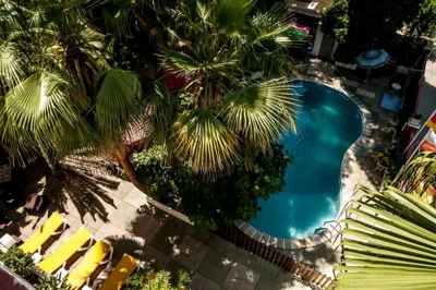 Hostal Alce — Foto 4