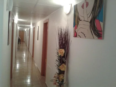 Hostal Arneva Orihuela — foto 10