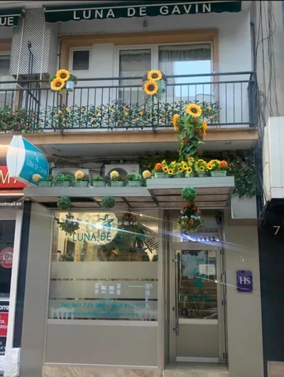 Hostal Boutique Luna de Gavín — 写真 7